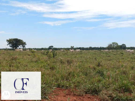 Imagem Fazenda à Venda, 3.097 m² em Rural - Chapadão Do Sul