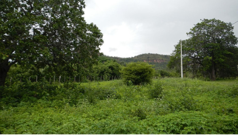 Imagem Fazenda à Venda, 3.500 m² em Rural - São Francisco Do Maranhão Imagem Fazenda à Venda, 3.500 m² em Rural - São Francisco Do Maranhão