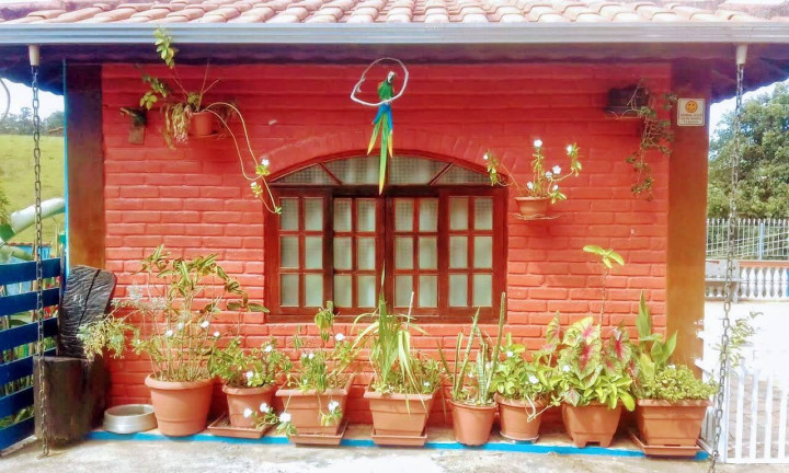 Imagem Chácara com 6 Quartos à Venda, 53 m² em Zona Rural - Cambuí Imagem Chácara com 6 Quartos à Venda, 53 m² em Zona Rural - Cambuí