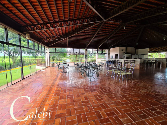 Imagem Chácara com 6 Quartos à Venda, 6 m² em área Rural De Conchal - Conchal Imagem Chácara com 6 Quartos à Venda, 6 m² em área Rural De Conchal - Conchal