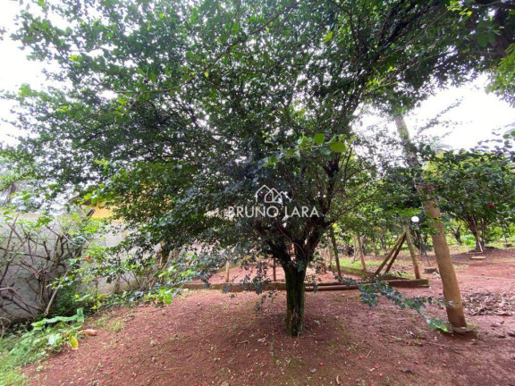 Imagem Fazenda à Venda, 500 m² em Vivendas Santa Mônica - Igarapé Imagem Fazenda à Venda, 500 m² em Vivendas Santa Mônica - Igarapé