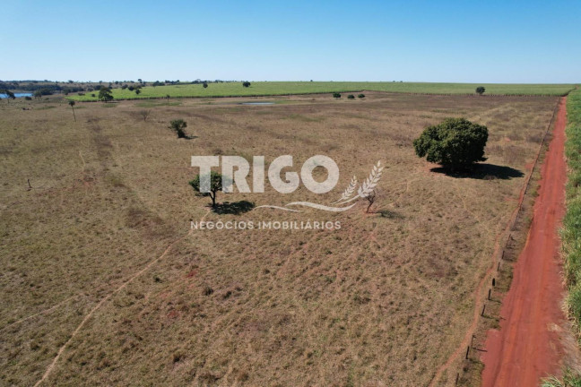 Imagem Fazenda à Venda, 72 m² em Zona Rural - Quirinópolis Imagem Fazenda à Venda, 72 m² em Zona Rural - Quirinópolis