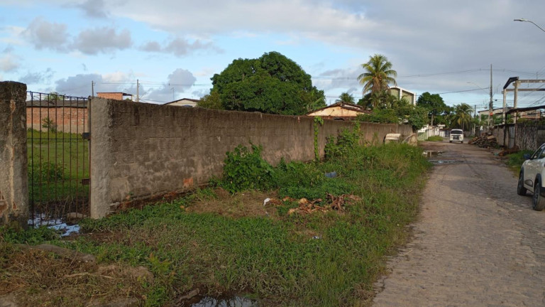 Imagem Terreno à Venda, 2.000 m² em Pixete - São Lourenço Da Mata Imagem Terreno à Venda, 2.000 m² em Pixete - São Lourenço Da Mata