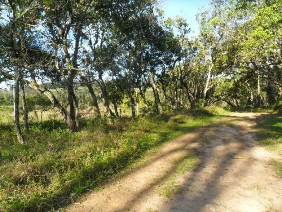 Imagem Fazenda à Venda, 98.000 m² em Cocuera - Mogi Das Cruzes Imagem Fazenda à Venda, 98.000 m² em Cocuera - Mogi Das Cruzes