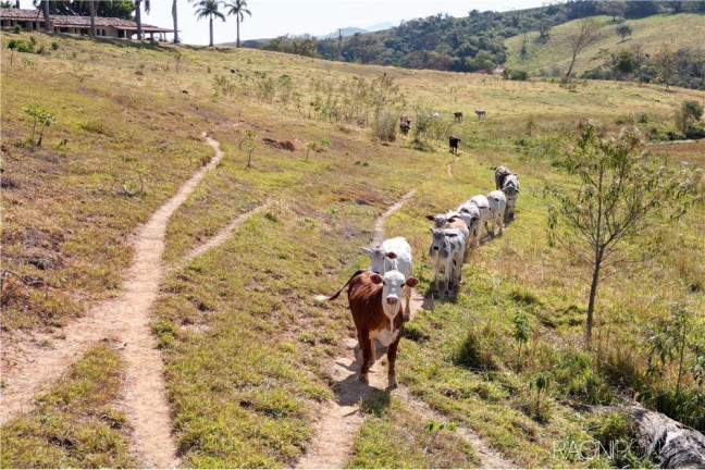 Imagem Fazenda à Venda, 3.650.000 m² em Zona Rual - Andradas Imagem Fazenda à Venda, 3.650.000 m² em Zona Rual - Andradas
