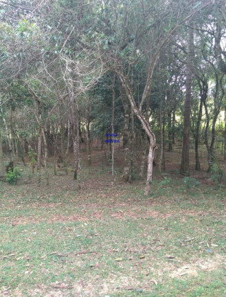 Imagem Imóvel com 2 Quartos à Venda, 21.808 m² em Jardim Itapituba - Contenda Imagem Imóvel com 2 Quartos à Venda, 21.808 m² em Jardim Itapituba - Contenda