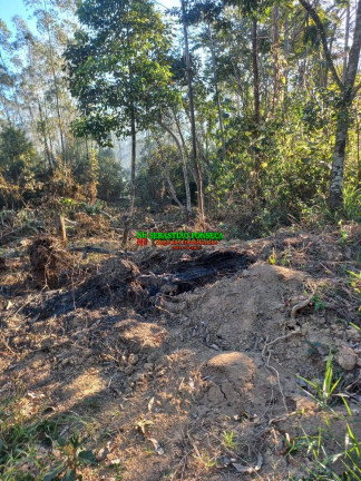 Imagem Chácara à Venda, 20.000 m² em Centro - Monteiro Lobato Imagem Chácara à Venda, 20.000 m² em Centro - Monteiro Lobato