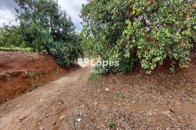 Imagem Imóvel com 1 Quarto à Venda, 43.000 m² em Parque Eldorado - Campinas Imagem Imóvel com 1 Quarto à Venda, 43.000 m² em Parque Eldorado - Campinas