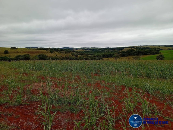 Imagem Fazenda à Venda, 33 m² em Zona Rural - Caiapônia Imagem Fazenda à Venda, 33 m² em Zona Rural - Caiapônia
