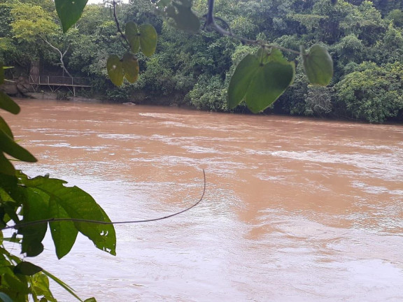Imagem Imóvel com 1 Quarto à Venda, 21.000 m² em Zona Rural - Palmeiras (dois Irmãos Do Buriti)