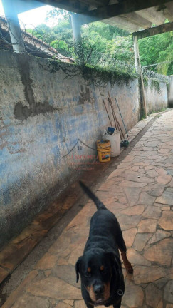 Imagem Chácara com 3 Quartos à Venda, 1.800 m² em Atibaia Imagem Chácara com 3 Quartos à Venda, 1.800 m² em Atibaia