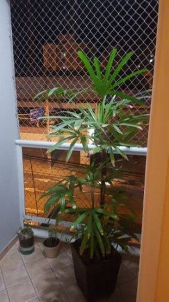 Imagem Apartamento com 3 Quartos à Venda, 85 m² em Parque Campolim - Sorocaba Imagem Apartamento com 3 Quartos à Venda, 85 m² em Parque Campolim - Sorocaba
