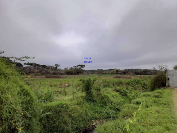 Imagem Terreno à Venda, 166.957 m² em Campina Da Barra - Araucária