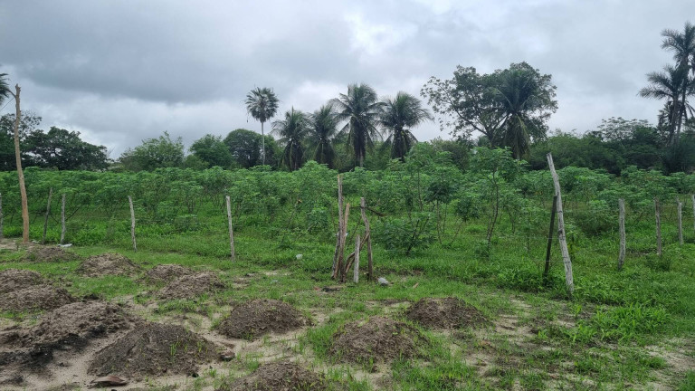 Imagem Terreno à Venda, 10.828 m² em Camará - Aquiraz