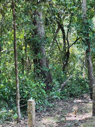 Imagem Terreno à Venda, 600 m² em Chapada Dos Guimarães Imagem Terreno à Venda, 600 m² em Chapada Dos Guimarães