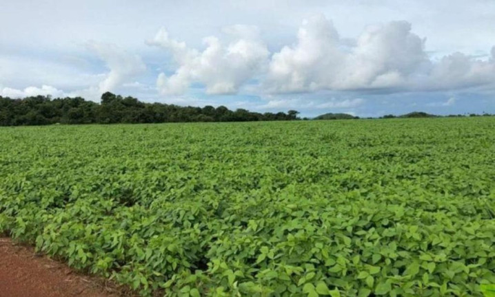 Imagem Imóvel à Venda, 16.115 m² em área Rural De Porto Alegre Do Norte - Porto Alegre Do Norte Imagem Imóvel à Venda, 16.115 m² em área Rural De Porto Alegre Do Norte - Porto Alegre Do Norte