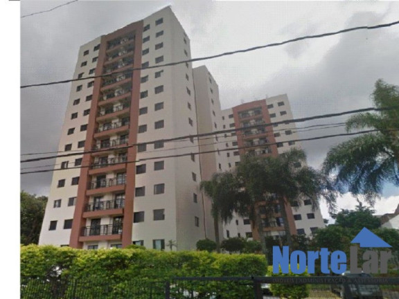 Imagem Apartamento com 3 Quartos à Venda, 66 m² em Vila Carbone - São Paulo Imagem Apartamento com 3 Quartos à Venda, 66 m² em Vila Carbone - São Paulo