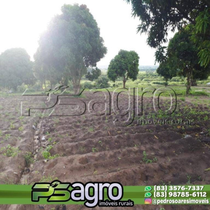 Imagem Sala Comercial à Venda, 80.000 m² em Conde Imagem Sala Comercial à Venda, 80.000 m² em Conde
