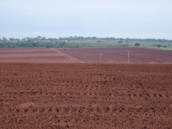Imagem Fazenda à Venda, 351 m² em Rural - Rancharia Imagem Fazenda à Venda, 351 m² em Rural - Rancharia