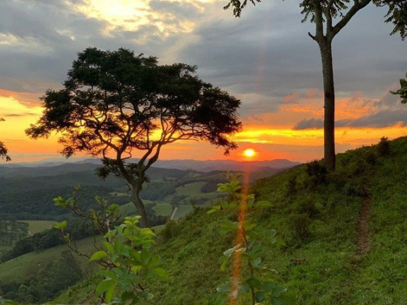 Imagem Fazenda à Venda, 1.000 m² em Silveiras