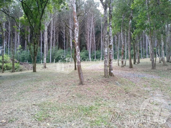 Imagem Imóvel com 3 Quartos à Venda, 2 m² em Belo Horizonte - Agronômica Imagem Imóvel com 3 Quartos à Venda, 2 m² em Belo Horizonte - Agronômica