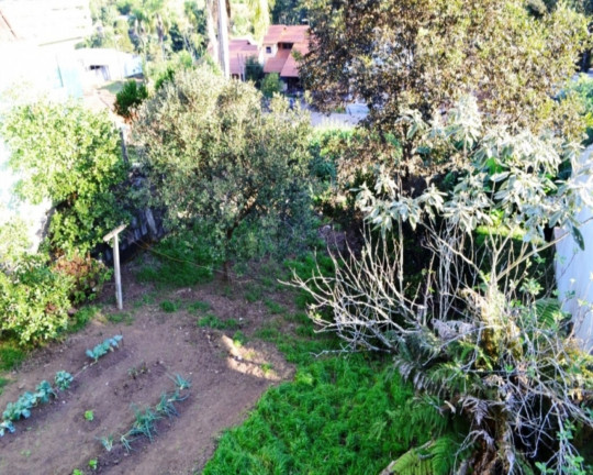 Imagem Imóvel com 4 Quartos à Venda, em Logradouro - Nova Petrópolis Imagem Imóvel com 4 Quartos à Venda, em Logradouro - Nova Petrópolis