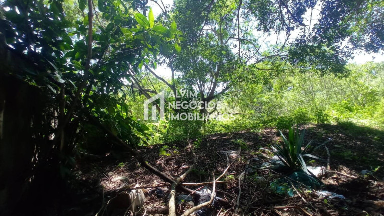 Imagem Terreno à Venda, 685 m² em Jardim Nova América - São José Dos Campos Imagem Terreno à Venda, 685 m² em Jardim Nova América - São José Dos Campos