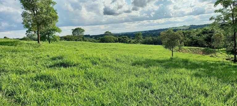 Imagem Chácara com 1 Quarto à Venda, 2 m² em Zona Rural - Bela Vista De Goiás