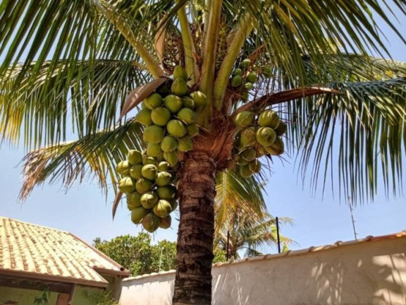 Imagem Chácara com 2 Quartos à Venda, 900 m² em Piracangaguá - Taubaté