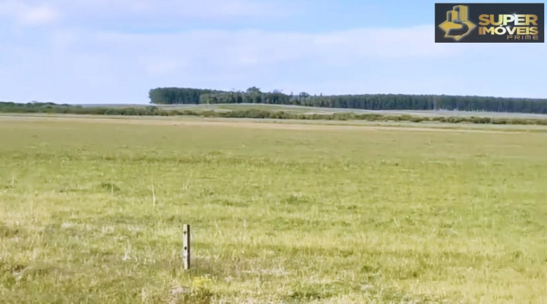 Imagem Imóvel com 3 Quartos à Venda, 25.000.000 m² em Prado - Santana Do Livramento