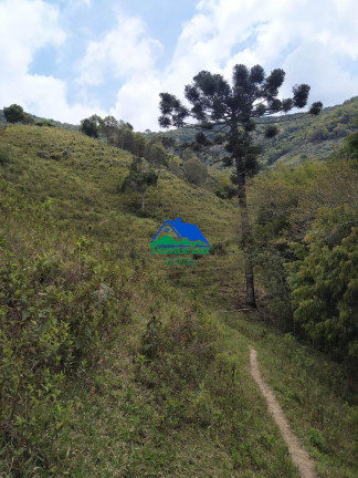 Imagem Imóvel com 4 Quartos à Venda, 26 m² em Zona Rural - Carvalhos Imagem Imóvel com 4 Quartos à Venda, 26 m² em Zona Rural - Carvalhos