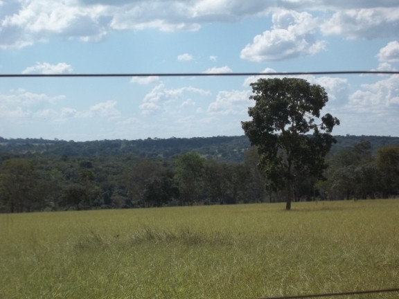 Imagem Fazenda à Venda, 222 m² em Zona Rural - Professor Jamil Imagem Fazenda à Venda, 222 m² em Zona Rural - Professor Jamil
