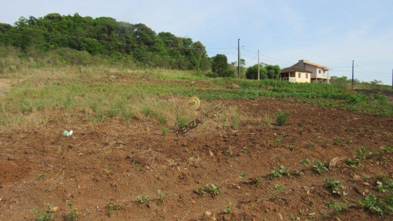 Imagem Terreno à Venda, 601 m² em Rural - Concórdia Imagem Terreno à Venda, 601 m² em Rural - Concórdia