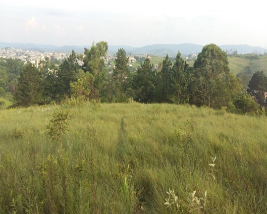 Imagem Terreno à Venda, 4.026 m² em Portal Das Alamedas - Franco Da Rocha