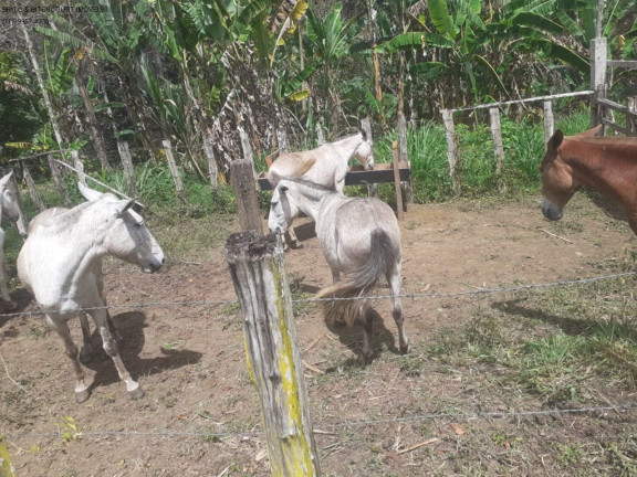 Imagem Imóvel com 3 Quartos à Venda, 600 m² em área Rural - São José Da Vitória