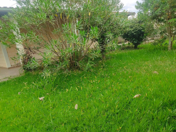 Imagem Chácara com 3 Quartos à Venda, 1 m² em Bairro Do Cercado - Araçoiaba Da Serra Imagem Chácara com 3 Quartos à Venda, 1 m² em Bairro Do Cercado - Araçoiaba Da Serra