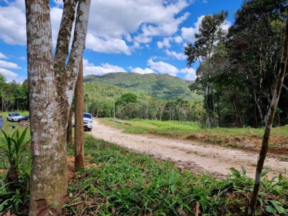 Imagem Chácara com 1 Quarto à Venda, 20.000 m² em Faxina - Campo Largo
