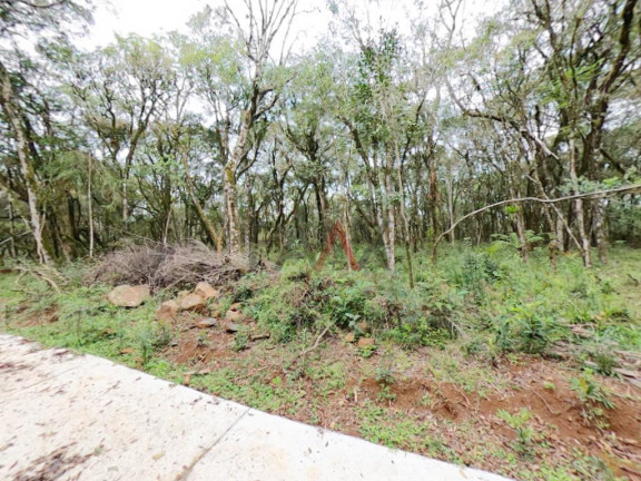 Imagem Fazenda à Venda, 20.000 m² em Jordão - Guarapuava Imagem Fazenda à Venda, 20.000 m² em Jordão - Guarapuava
