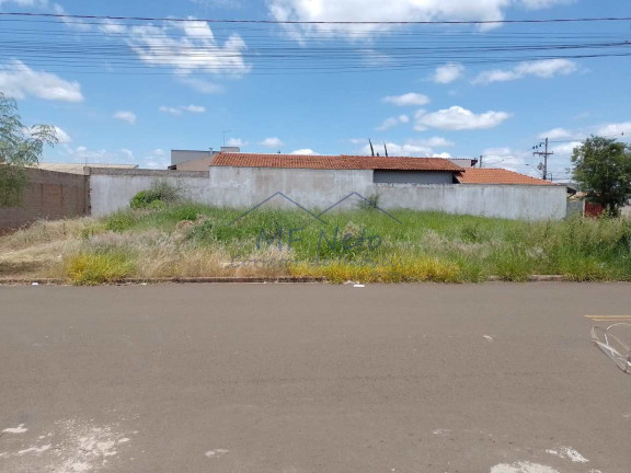 Imagem Terreno à Venda, 328 m² em Jardim Treviso - Pirassununga Imagem Terreno à Venda, 328 m² em Jardim Treviso - Pirassununga