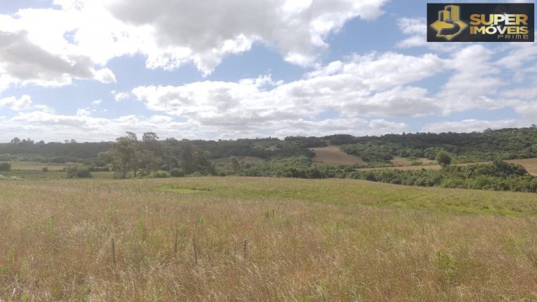 Imóvel com 2 Quartos à Venda, 240.000 m² em Centro - Morro Redondo