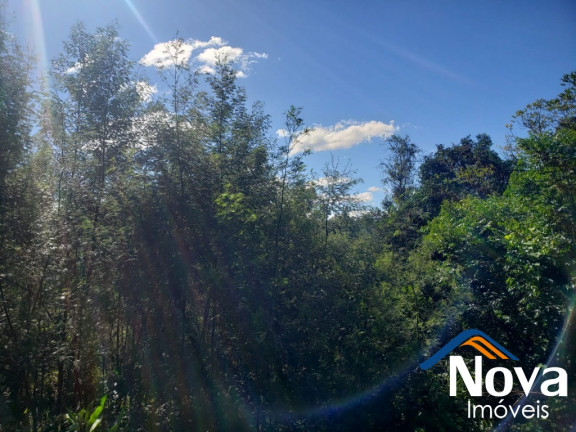 Imagem Imóvel à Venda, 405 m² em Bavária - Nova Petrópolis Imagem Imóvel à Venda, 405 m² em Bavária - Nova Petrópolis