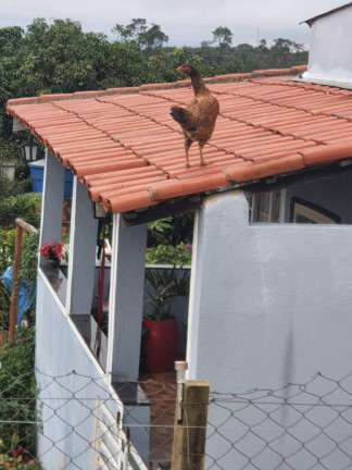 Imagem Chácara com 2 Quartos à Venda, 1.200 m² em Piraporão - Piedade Imagem Chácara com 2 Quartos à Venda, 1.200 m² em Piraporão - Piedade