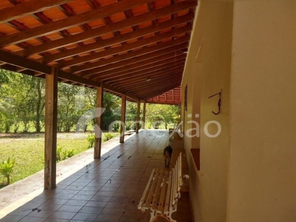 Imagem Fazenda à Venda, 100 m² em Monte Belo - Taubaté Imagem Fazenda à Venda, 100 m² em Monte Belo - Taubaté