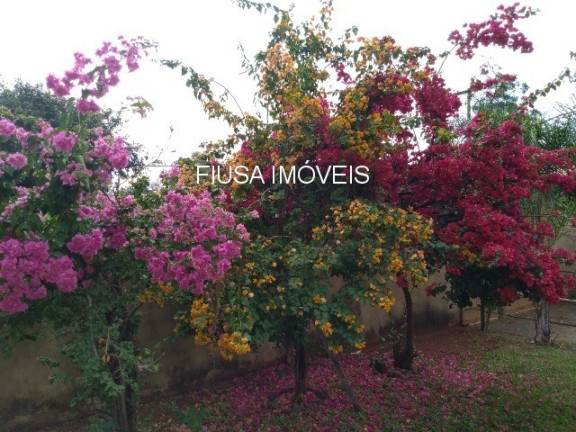 Imagem Casa com 3 Quartos à Venda, em Jardim Ouro Branco - Ribeirão Preto Imagem Casa com 3 Quartos à Venda, em Jardim Ouro Branco - Ribeirão Preto