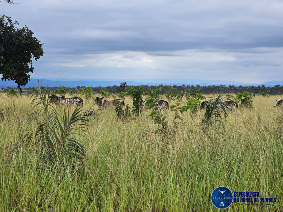 Imagem Fazenda à Venda, 1 m² em Zona Rural - Bom Jardim De Goiás Imagem Fazenda à Venda, 1 m² em Zona Rural - Bom Jardim De Goiás