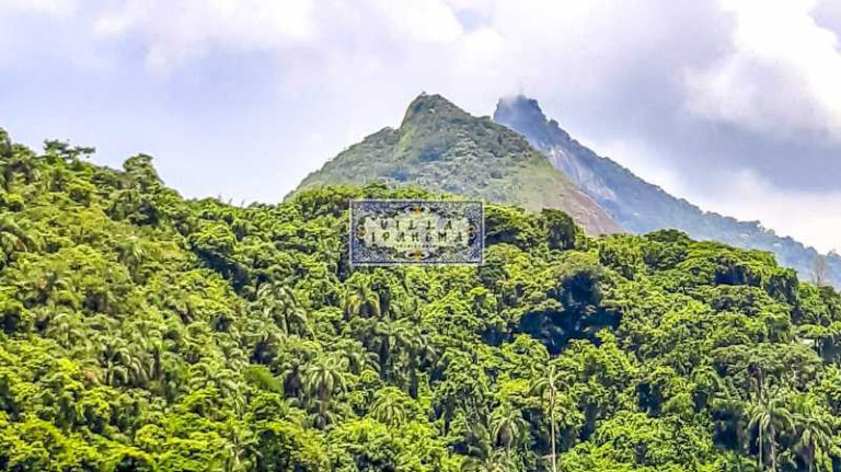 Imagem Apartamento com 2 Quartos à Venda, 80 m² em Laranjeiras - Rio De Janeiro Imagem Apartamento com 2 Quartos à Venda, 80 m² em Laranjeiras - Rio De Janeiro