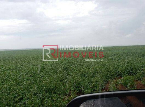 Imagem Fazenda à Venda, 2.000 m² em Alta Floresta Imagem Fazenda à Venda, 2.000 m² em Alta Floresta