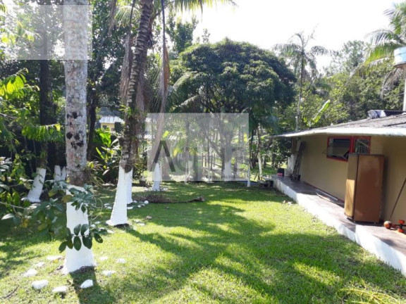 Imagem Imóvel com 5 Quartos à Venda, 2.400 m² em Bopiranga - Itanhaém Imagem Imóvel com 5 Quartos à Venda, 2.400 m² em Bopiranga - Itanhaém