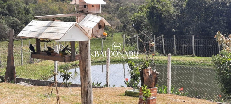 Imagem Imóvel com 3 Quartos à Venda, 1.200 m² em Centro - Toledo Imagem Imóvel com 3 Quartos à Venda, 1.200 m² em Centro - Toledo