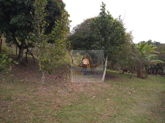 Imagem Fazenda à Venda, 72.000 m² em Padre André - Jacupiranga Imagem Fazenda à Venda, 72.000 m² em Padre André - Jacupiranga